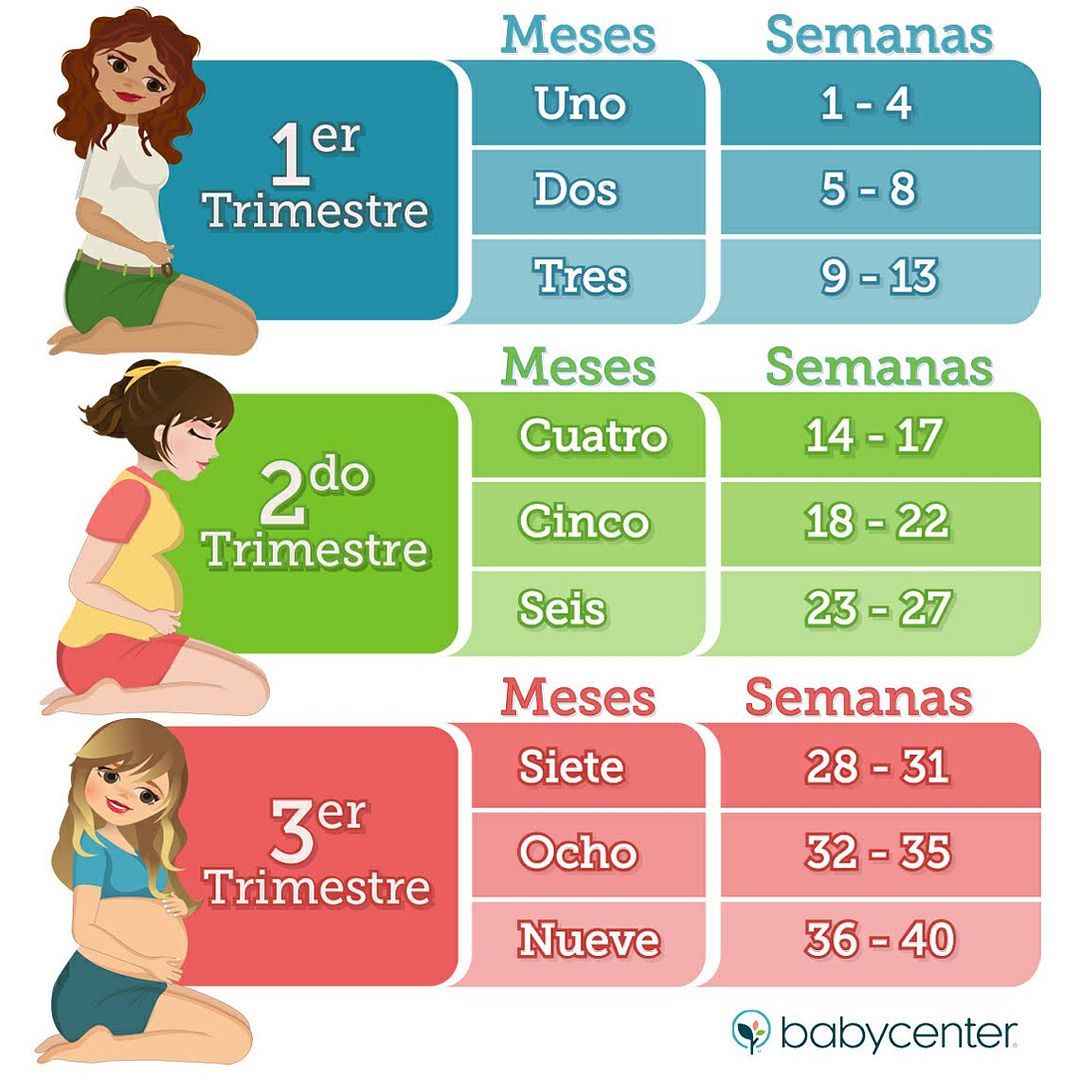 Mes a mes el embarazo